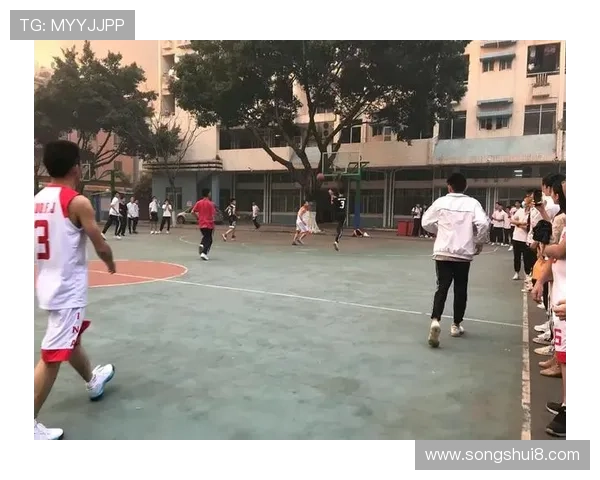 篮球规则解析:回场违例的判定标准与界定条件 篮球规则解析:回场违例的判定标准与界定条件